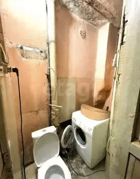 1-комнатная квартира: Барнаул, Интернациональная улица, 316 (32.6 м)