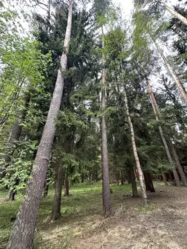 Участок в Московская область, Наро-Фоминский городской округ, д. ...