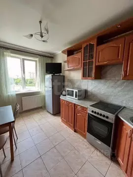 2-к кв. Санкт-Петербург Бухарестская ул., 116к1 (52.0 м)