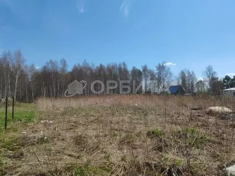 Участок в Тюменская область, Тюмень Автомобилист СНТ, ул. Рябиновая ...