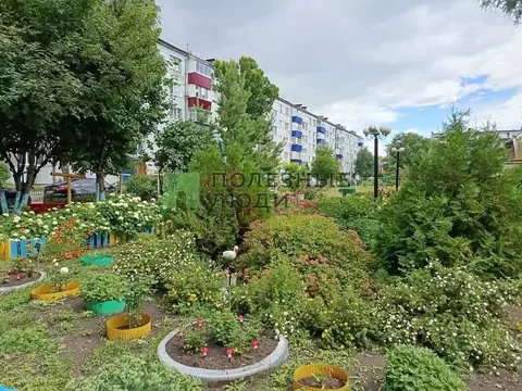 2-к кв. Самарская область, Сызрань Керамическая ул., 32 (35.2 м)
