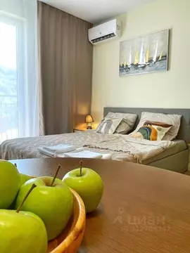 Студия Краснодарский край, Сочи ул. Искры, 88к8 (24.0 м)