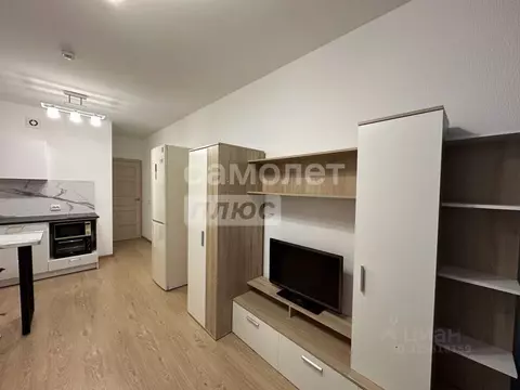 Студия Санкт-Петербург ул. Летчика Лихолетова, 14к2 (24.3 м)