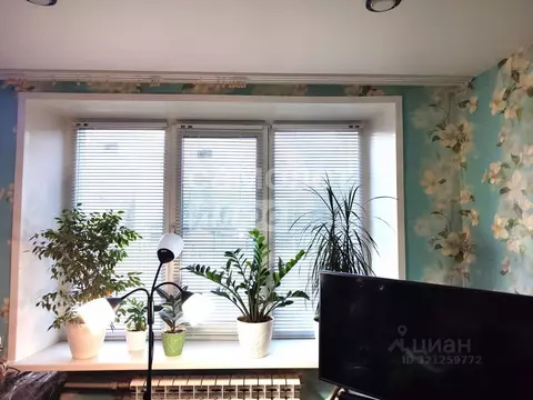 2-к кв. Нижегородская область, Нижний Новгород Гороховецкая ул., 26 ...