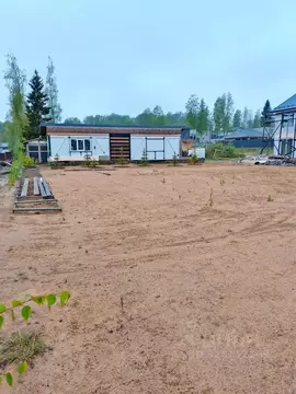 Участок в Ленинградская область, Всеволожский район, Куйвозовское ...