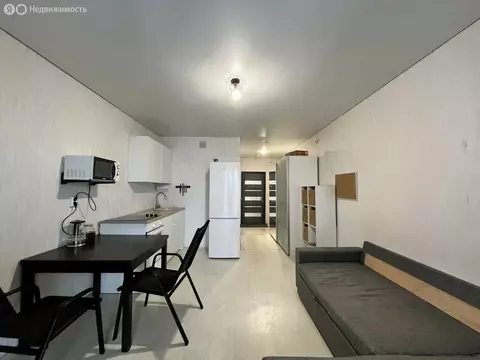 Квартира-студия: Зеленодольск, проспект Строителей, 6 (24.4 м)