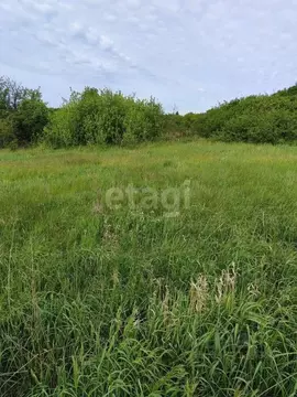 Участок в Воронежская область, Новоусманский район, Хреновское с/пос, ...