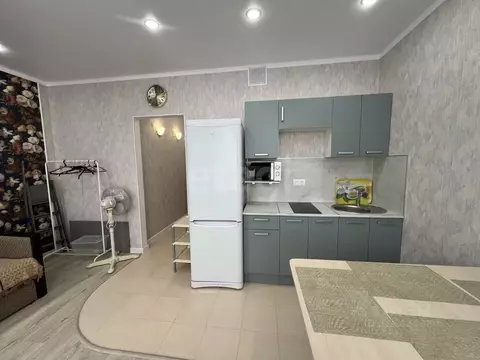 Студия Тюменская область, Тюмень ул. Фармана Салманова, 15 (25.0 м)