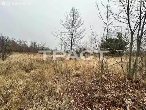 Участок в деревня Медовка, КП Лазурный, Лазурная улица, 533 (9.4 м)