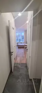 Студия Санкт-Петербург просп. Большой Петроградской стороны, 81 (24.0 ...