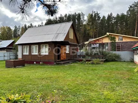 Дом в Тюменская область, Тюмень Дорожник СНТ, ул. Рябиновая, 64 (57 м)