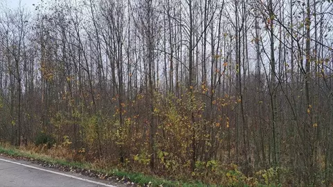 Участок в Московская область, Дубна Кентавр кп,  (30.0 сот.)