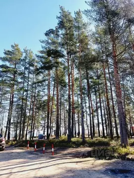 Участок в Ленинградская область, Всеволожский район, Морозовское ...