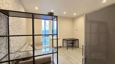 Студия Санкт-Петербург дор. Кушелевская, 7к1 (22.0 м)