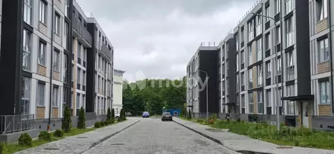 2-к кв. Калининградская область, Калининград ул. Сержанта Мишина, 81к3 ...