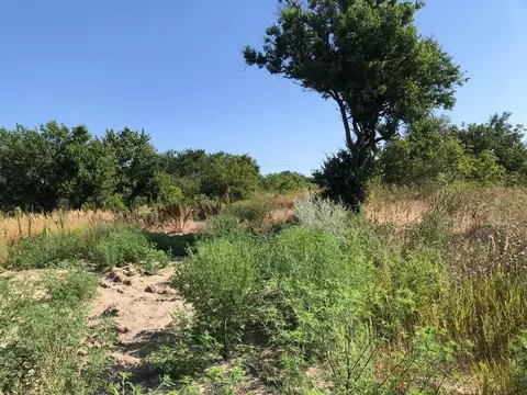 Участок в Краснодарский край, Темрюк Труженик СОТ, ул. Весенняя (8.0 ...