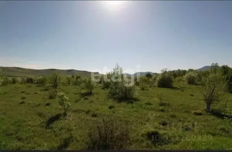 Участок в Алтайский край, Алтайский район, Вершина Бабырган СНТ  (10.0 ...