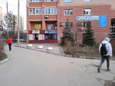 Помещение свободного назначения в Самарская область, Самара просека ...