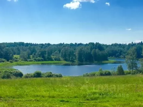 Участок в Ленинградская область, Выборгский район, Селезневское с/пос  ...