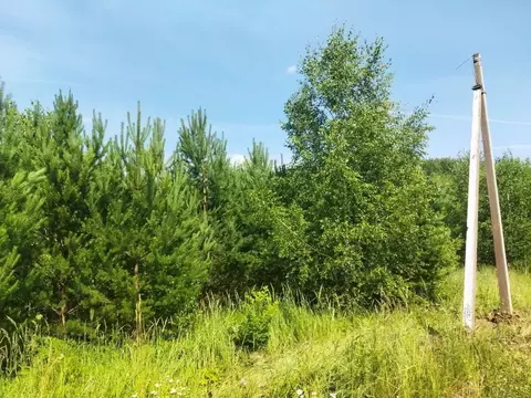 Участок в Тульская область, Ясногорский район, Иваньковское с/пос, ...