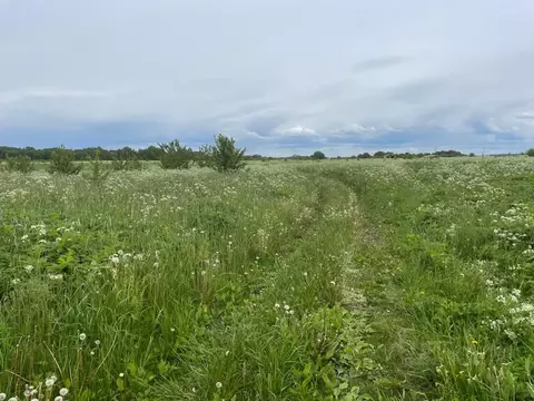 Участок в Ленинградская область, Ломоносовский район, Копорское с/пос, ...