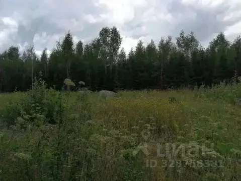 Участок в Московская область, Одинцовский городской округ, д. ...