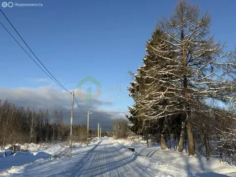 Участок в Нежновское сельское поселение, деревня Мышкино (12.5 м)