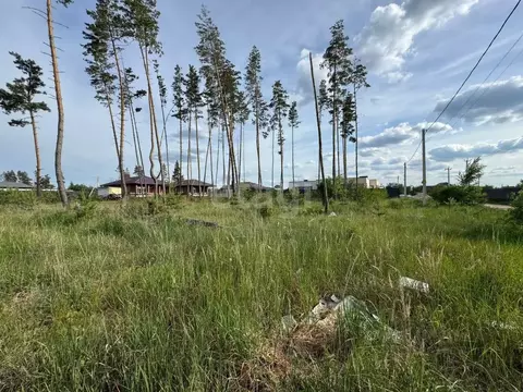 Участок в Воронежская область, Рамонский район, Новоживотинновское ...