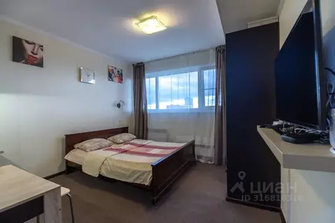 Студия Московская область, Одинцово Советская ул., 1 (24.0 м)