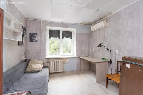 1к в 3-комнатной квартире (12.3 м)