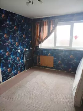 Комната Санкт-Петербург Суздальский просп., 73 (14.5 м)