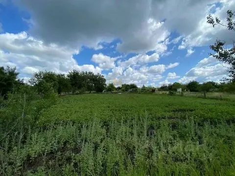 Участок в Белгородская область, Яковлевский муниципальный округ, с. ...