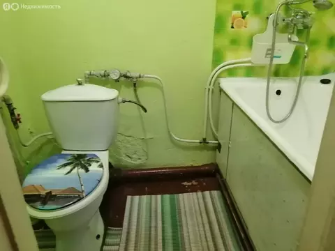 1-комнатная квартира: Павлово, Невская улица, 9 (29.8 м)