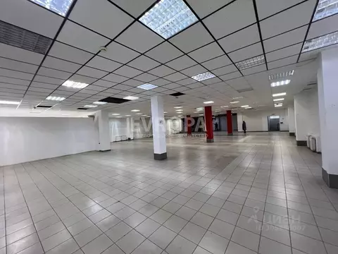 Торговая площадь в Ульяновская область, Ульяновск Камышинская ул., 16В ...