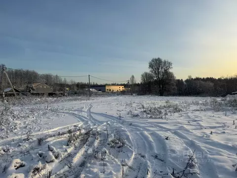 Участок в Пермский край, Краснокамский муниципальный округ, Восточный ...