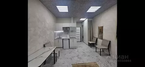 Студия Пермский край, Пермь ул. Куйбышева, 109А (26.0 м)