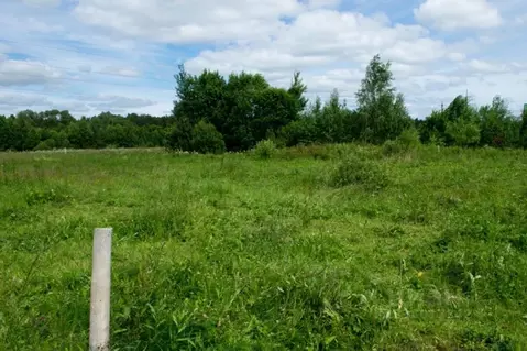 Участок в Тверская область, Кимрский муниципальный округ, д. Кадниково ...