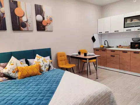 Студия Московская область, Ногинск Богородский городской округ, ул. ...