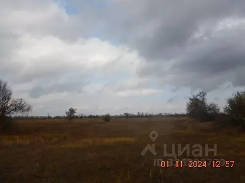 Участок в Ростовская область, Песчанокопский район, с. Богородицкое ...