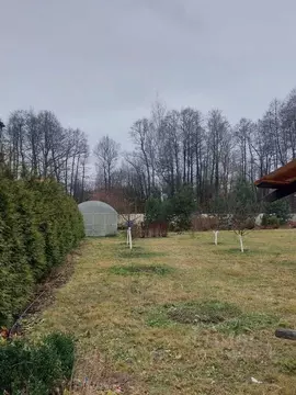 Участок в Московская область, Раменский муниципальный округ, с. ...