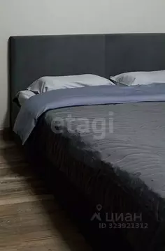 Студия Новосибирская область, Новосибирск ул. Державина, 50 (29.0 м)