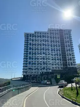 Студия Краснодарский край, Сочи Бытха мкр, ул. Ясногорская, 16/2к2 ...