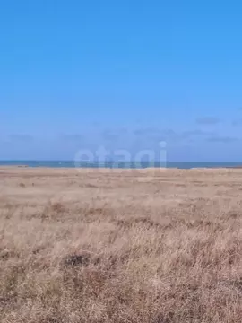 Участок в Крым, Сакский район, Молочненское с/пос 2-я линия (6.0 сот.)