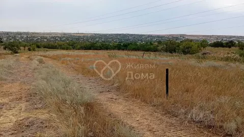 Участок в Волгоградская область, Волгоград Дружная ул. (6.06 сот.)