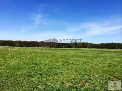 Участок в Новгородская область, Новгородский район, Ермолинское с/пос, ...