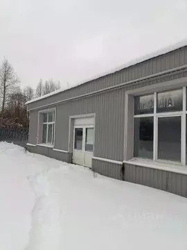 Помещение свободного назначения в Ленинградская область, Сланцы ул. ...