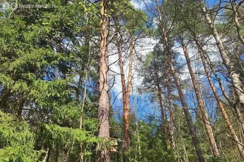 Участок в деревня Новодарьино, ДП Новодарьино РАН (16.02 м)