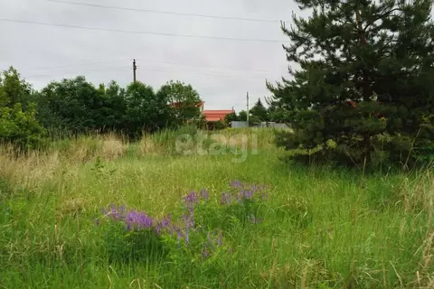 Участок в Воронежская область, Рамонский район, Айдаровское с/пос, с. ...