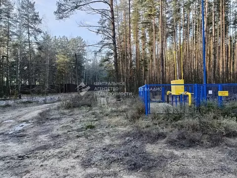 Участок в Рязанская область, Рязанский муниципальный округ, с. ...