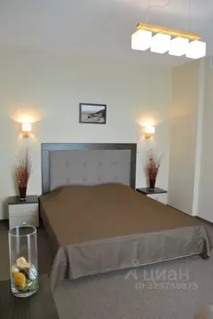 1-к кв. Крым, Ялта ул. Дражинского, 35Ц (78.0 м)